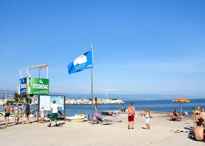With A Parking Space Icici, Opatija - 7785 Апартаменты *