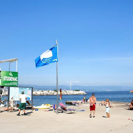 With A Parking Space Icici, Opatija - 7785 Lejlighed *